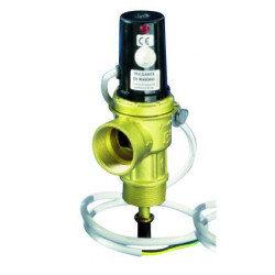 Клапан теплового скиду ICMA