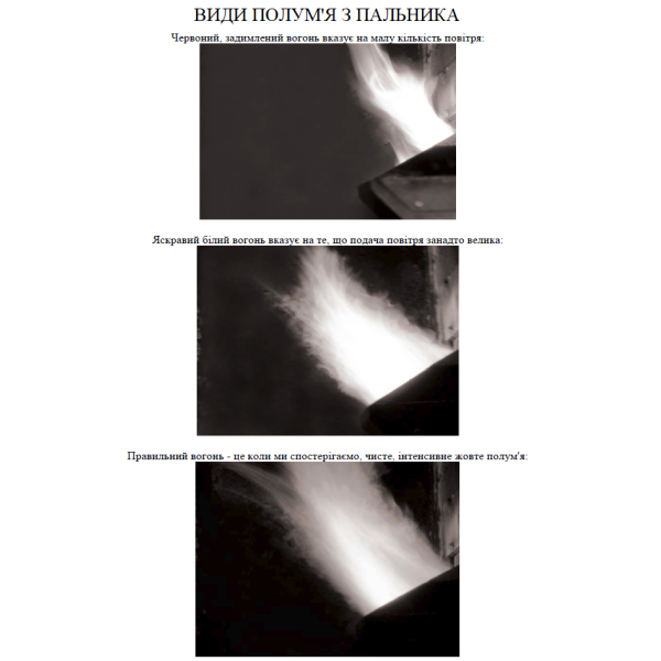 ALTEP PELLETS A 15-30 кВт